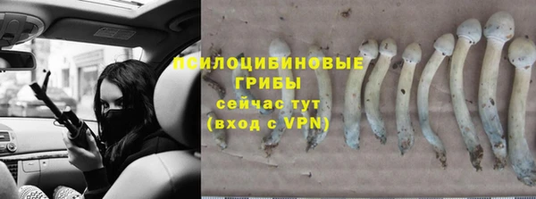 мяу мяу мука Лабытнанги