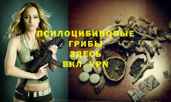 мяу мяу мука Лабытнанги