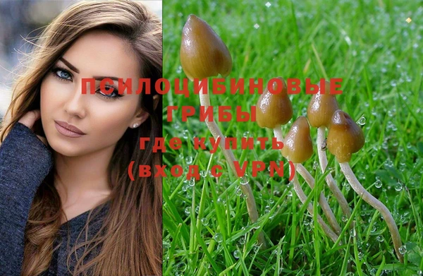 mdpv Ладушкин