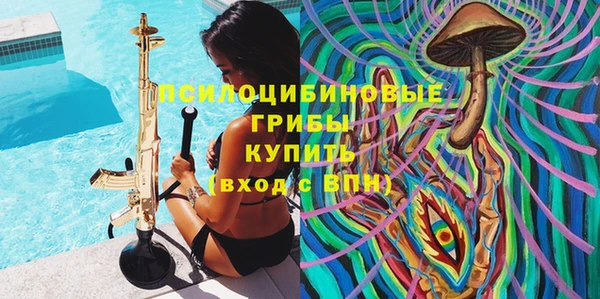 мяу мяу мука Лабытнанги