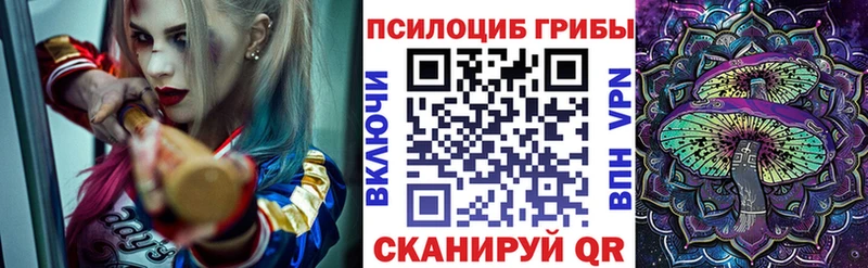 Псилоцибиновые грибы мицелий  Минеральные Воды 
